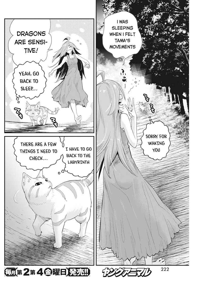 S-Rank Monster no "Behemoth" dakedo, Neko to Machigawarete Elf Musume no Pet to Shite Kurashitemasu Chapter 38 - Page 24