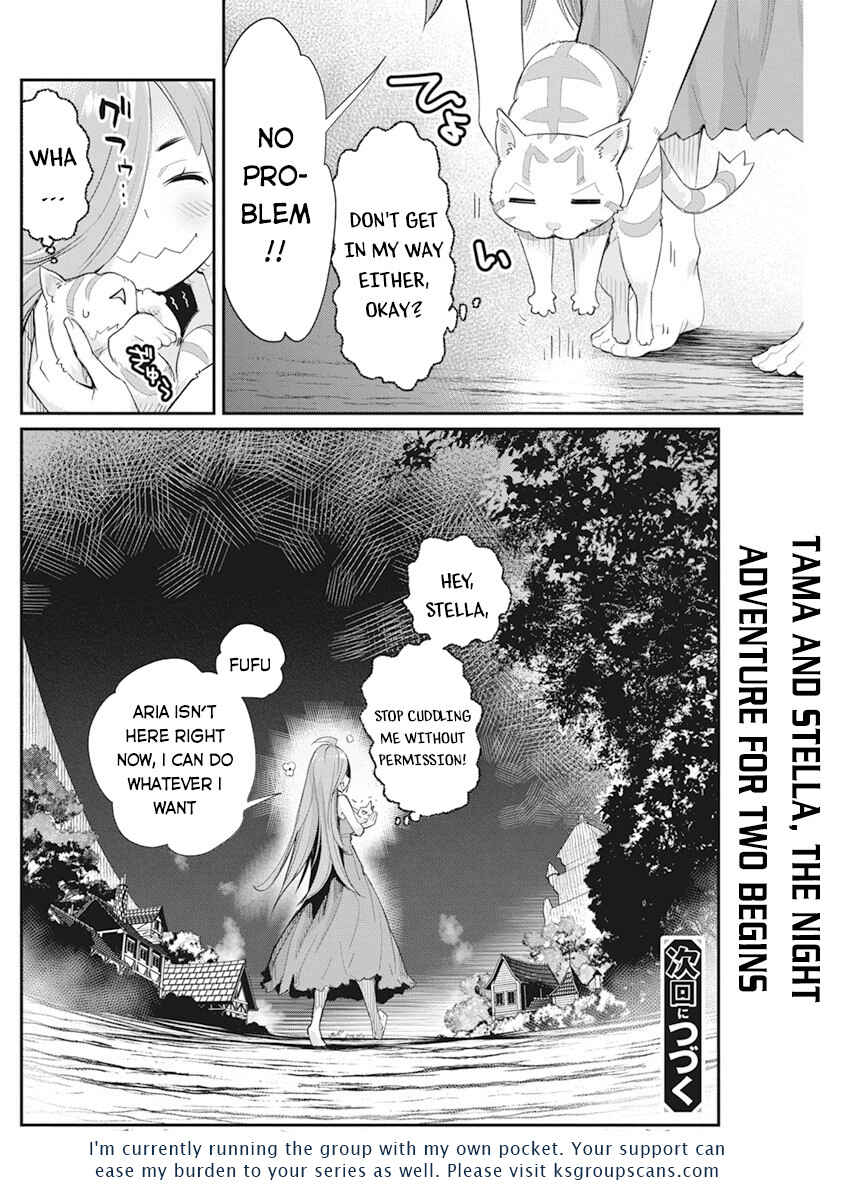 S-Rank Monster no "Behemoth" dakedo, Neko to Machigawarete Elf Musume no Pet to Shite Kurashitemasu Chapter 38 - Page 26