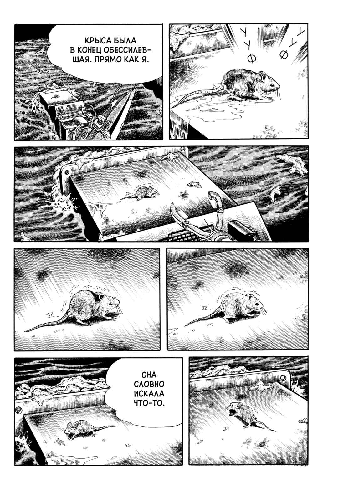 My Name Is Shingo Chapter 45 - Page 11