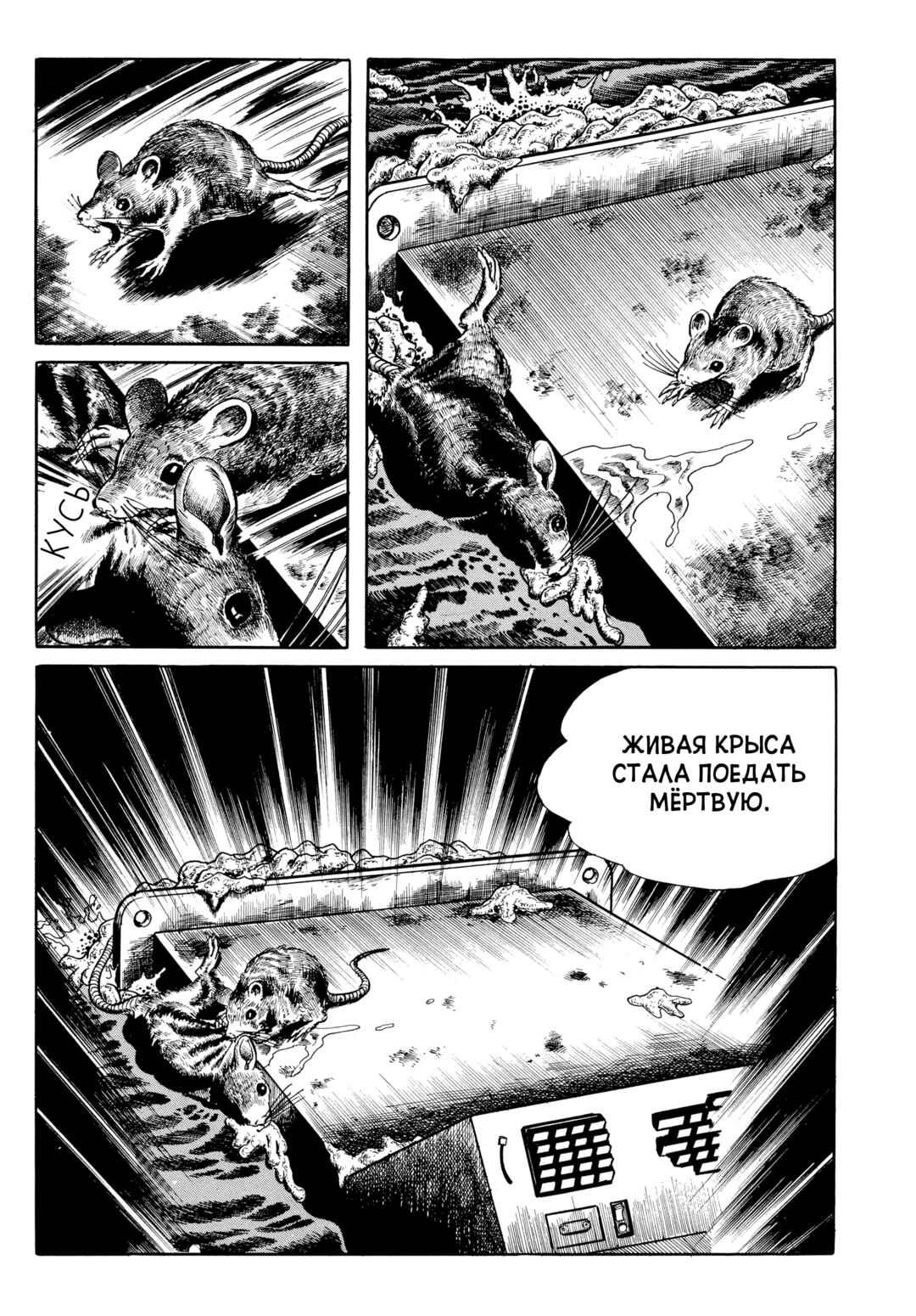 My Name Is Shingo Chapter 45 - Page 15