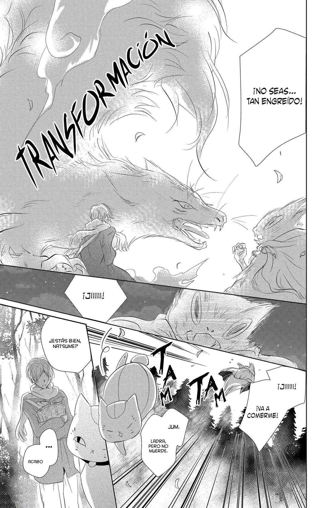 Natsume Yuujinchou Chapter 110 - Page 22