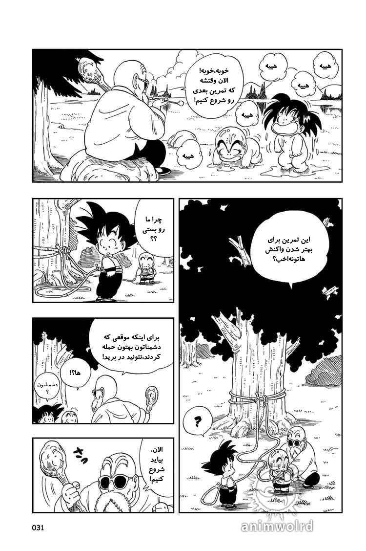 Dragon Ball Chapter 31 - Page 12