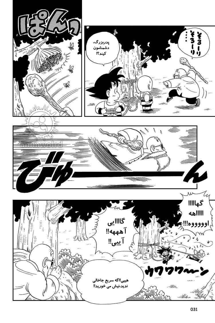 Dragon Ball Chapter 31 - Page 13