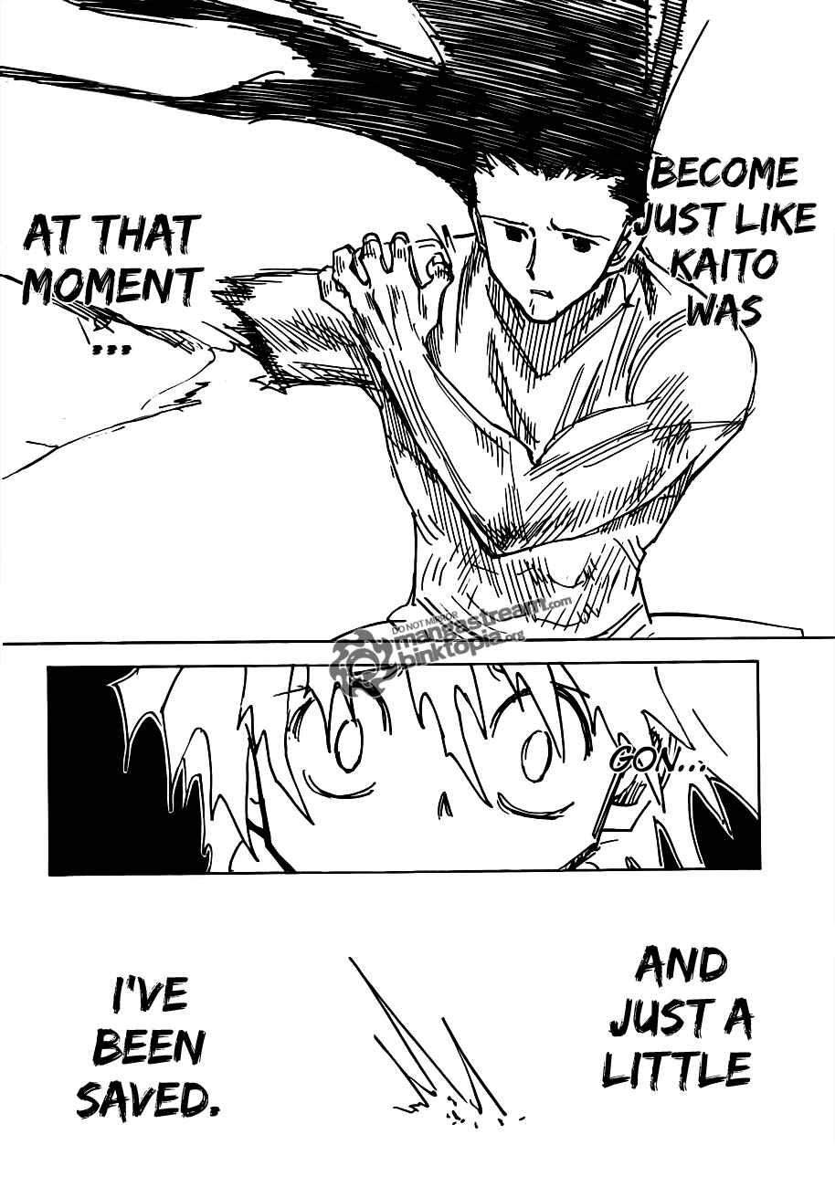Hunter x Hunter Chapter 307 - Page 13