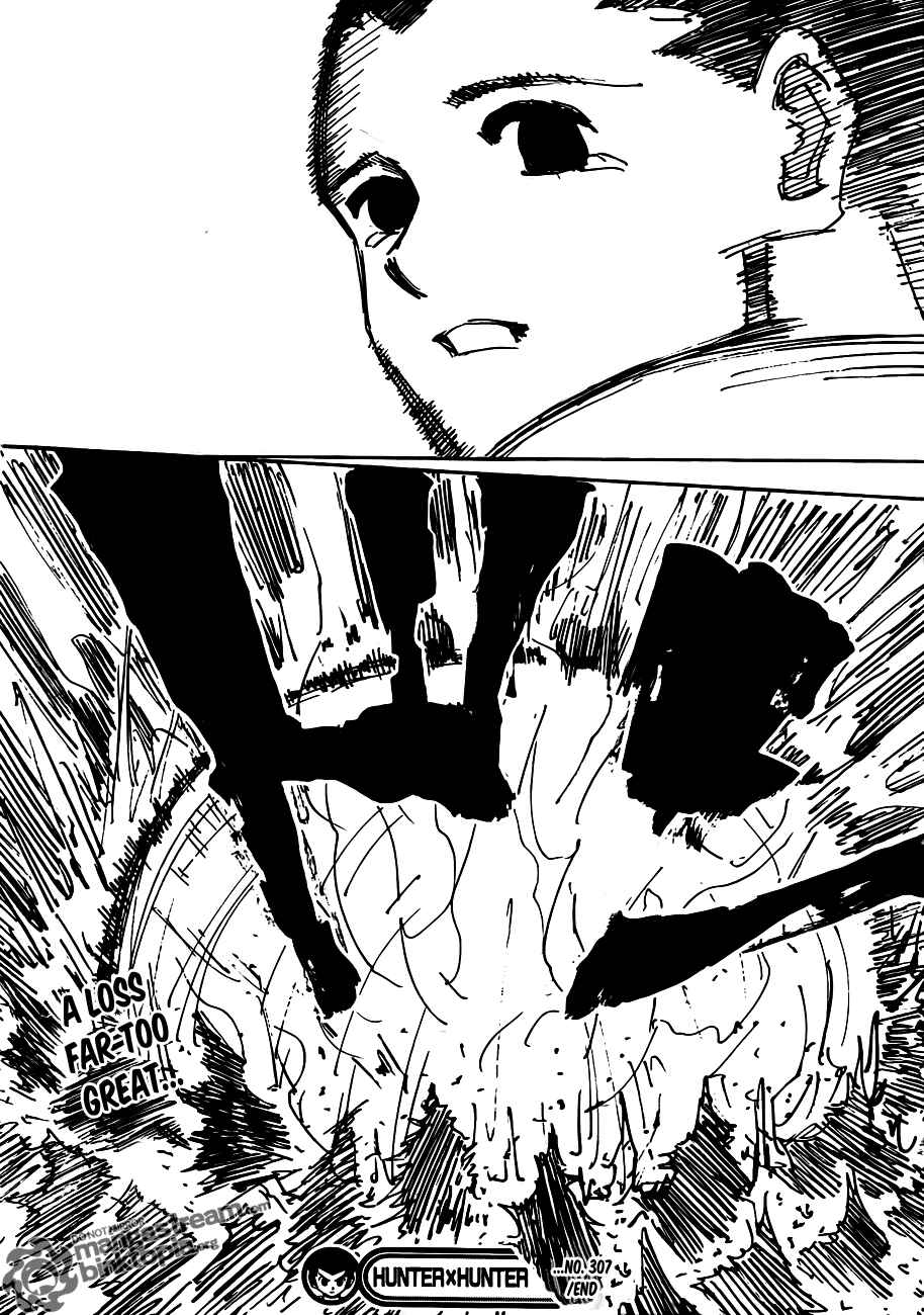 Hunter x Hunter Chapter 307 - Page 18