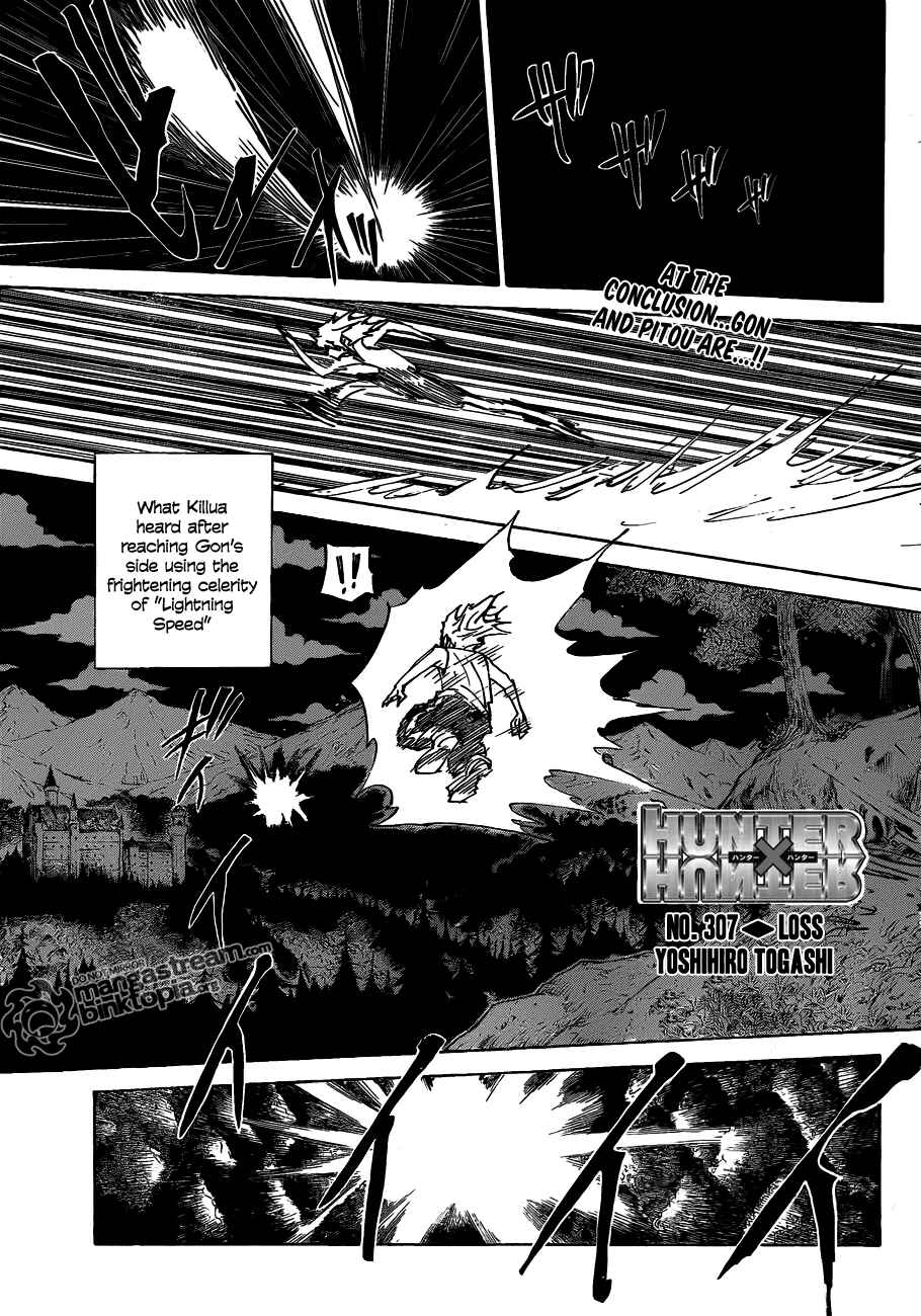 Hunter x Hunter Chapter 307 - Page 2