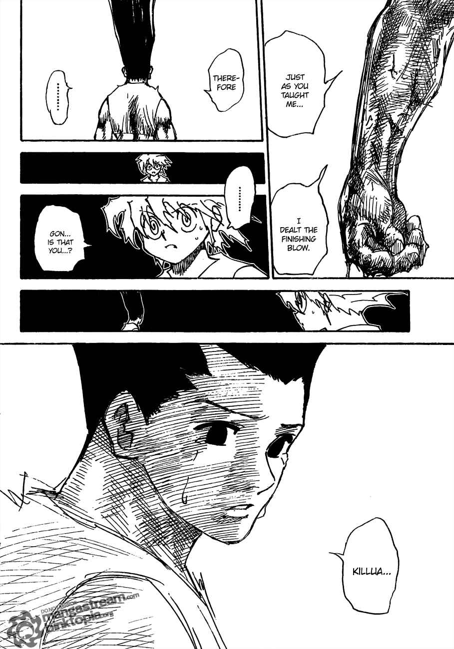 Hunter x Hunter Chapter 307 - Page 5