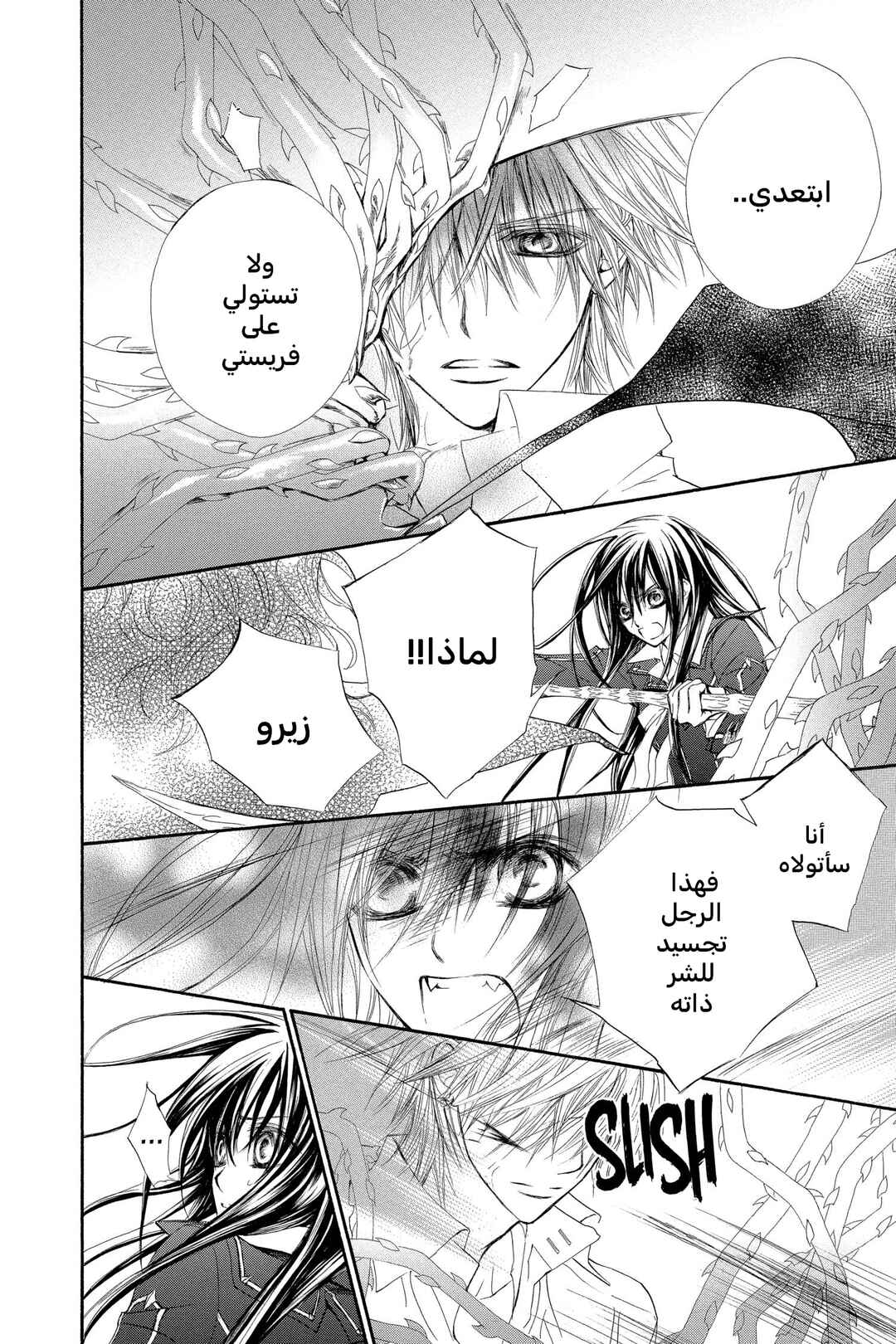 Vampire Knight Chapter 43 - Page 17