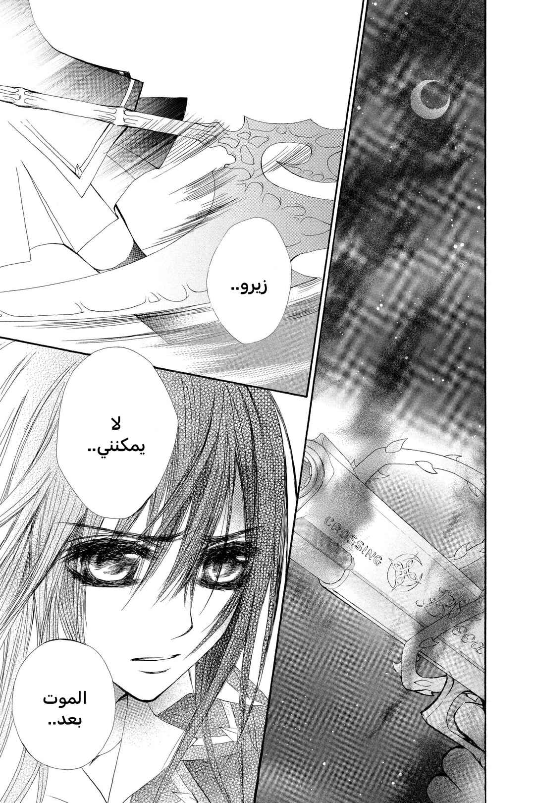 Vampire Knight Chapter 43 - Page 45