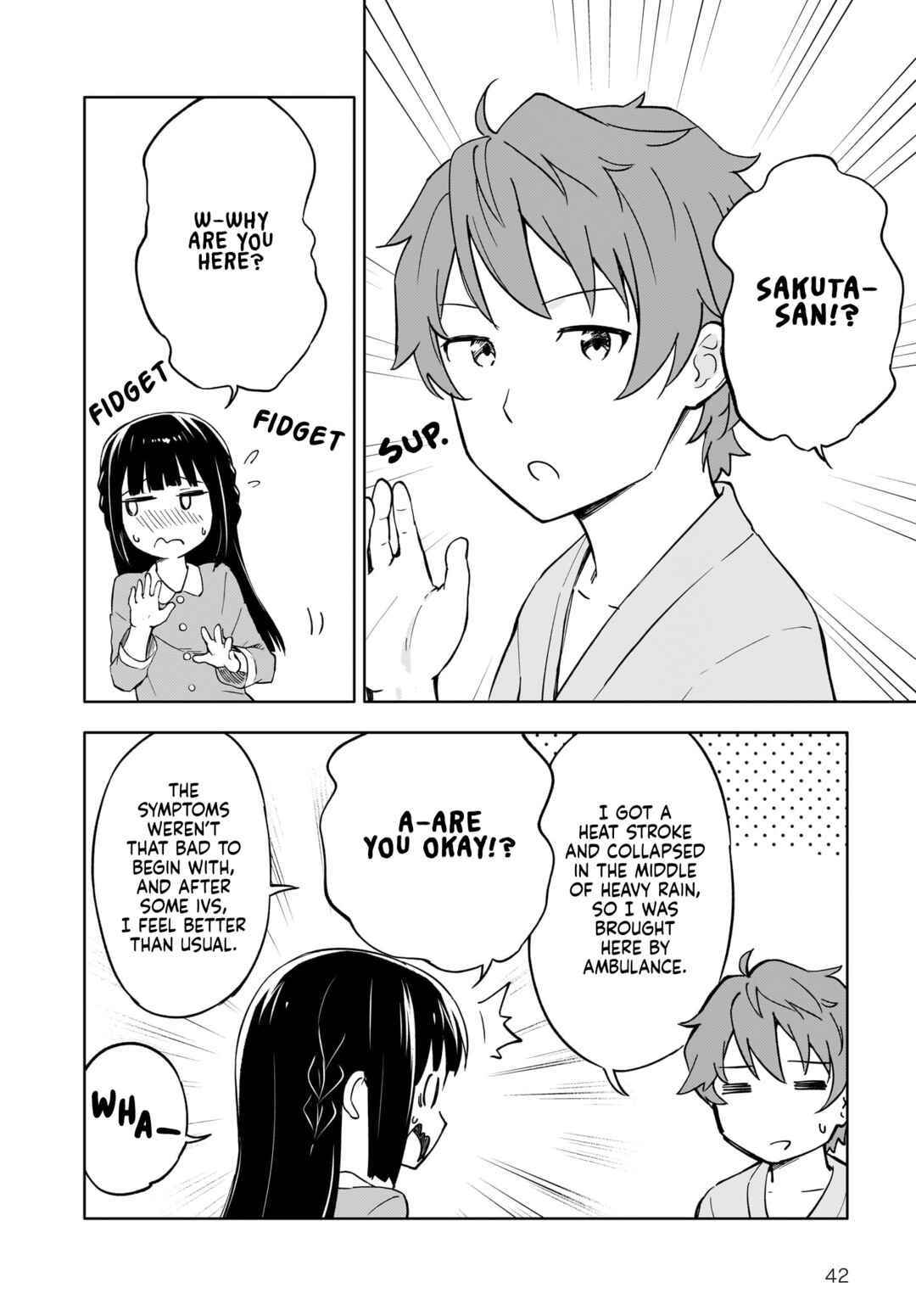 Rascal Does Not Dream of a Dreaming Girl Chapter 1 - Page 41