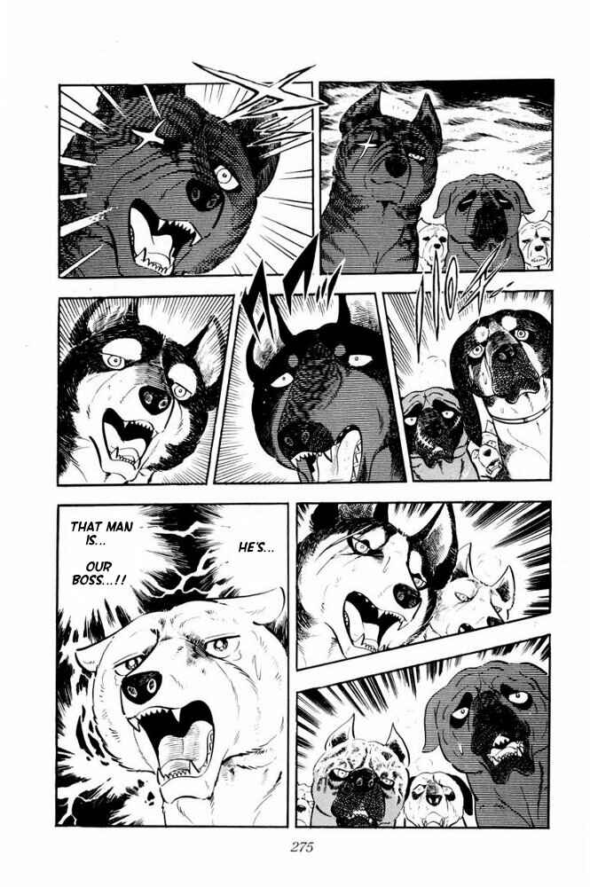 Silver Fang – The Shooting Star Gin – Chapter 36 - Page 13