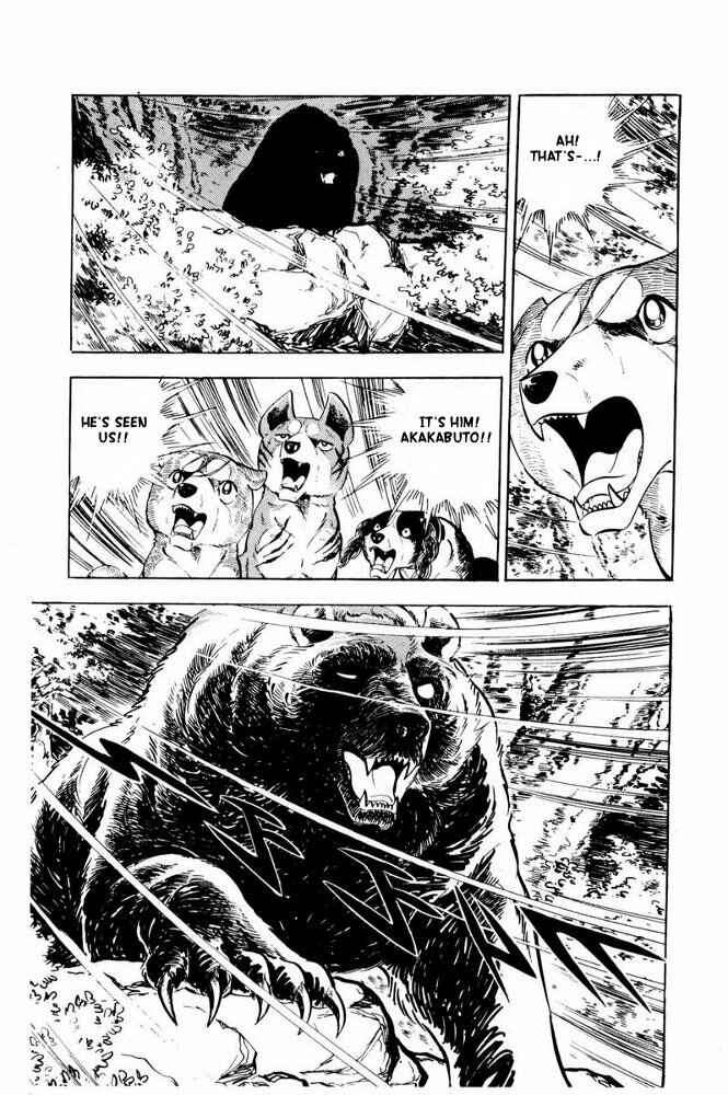 Silver Fang – The Shooting Star Gin – Chapter 36 - Page 35