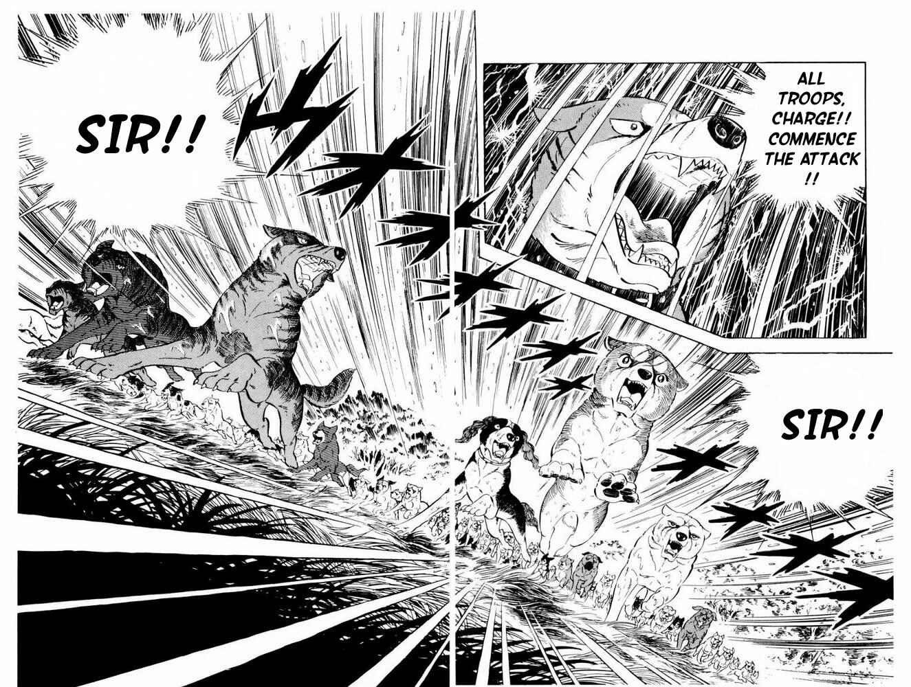Silver Fang – The Shooting Star Gin – Chapter 36 - Page 52