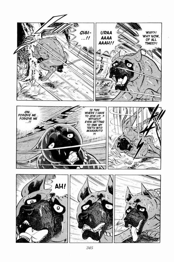 Silver Fang – The Shooting Star Gin – Chapter 36 - Page 82