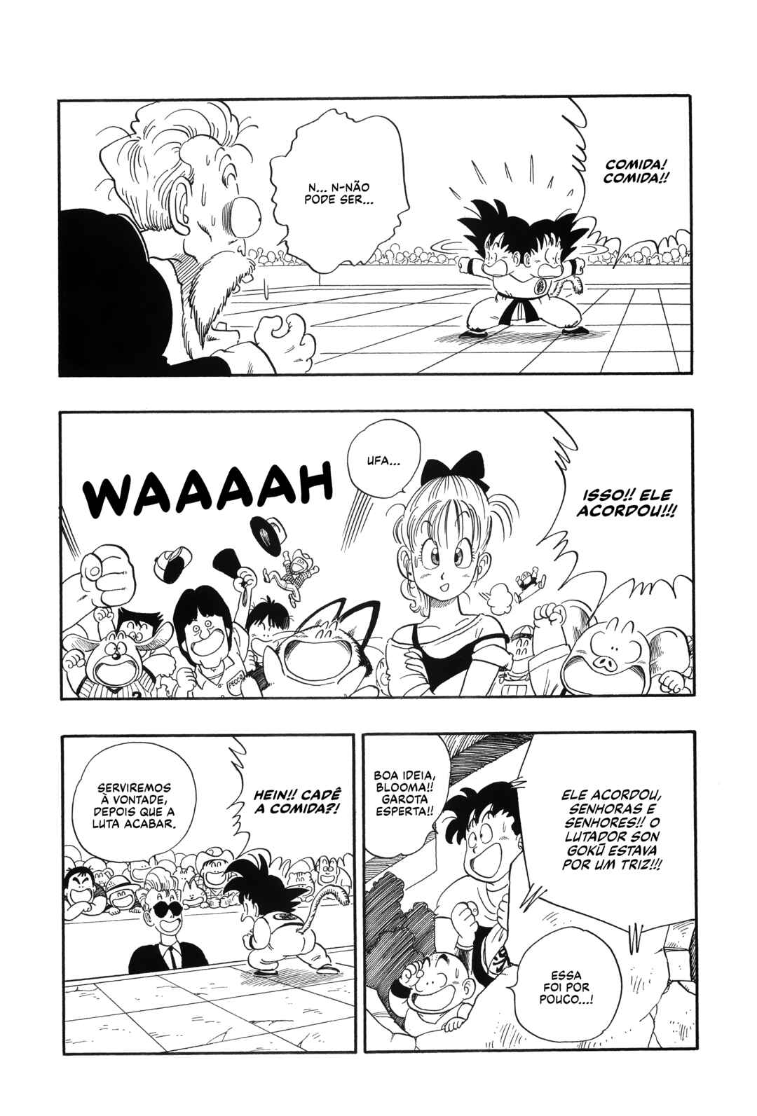 Dragon Ball Chapter 49 - Page 12
