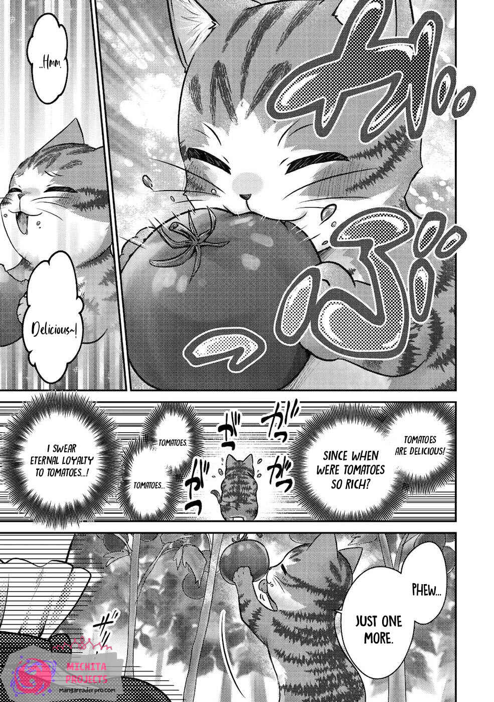 Wagahai wa Nekomadoushi de Aru: Kijitora Luke no Kaiteki Cheat Neko Seikatsu Chapter 2 - Page 10