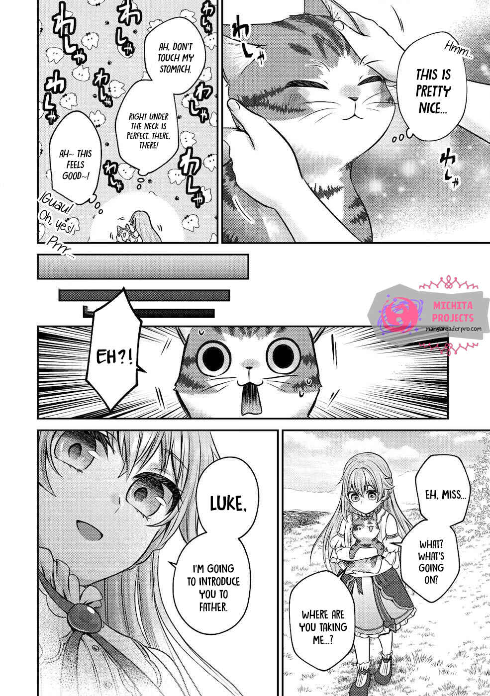 Wagahai wa Nekomadoushi de Aru: Kijitora Luke no Kaiteki Cheat Neko Seikatsu Chapter 2 - Page 17