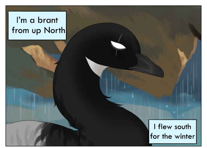 Southern Bird and Northern Bird Chapter 42 - Page 1