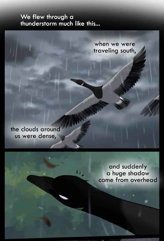 Southern Bird and Northern Bird Chapter 42 - Page 5