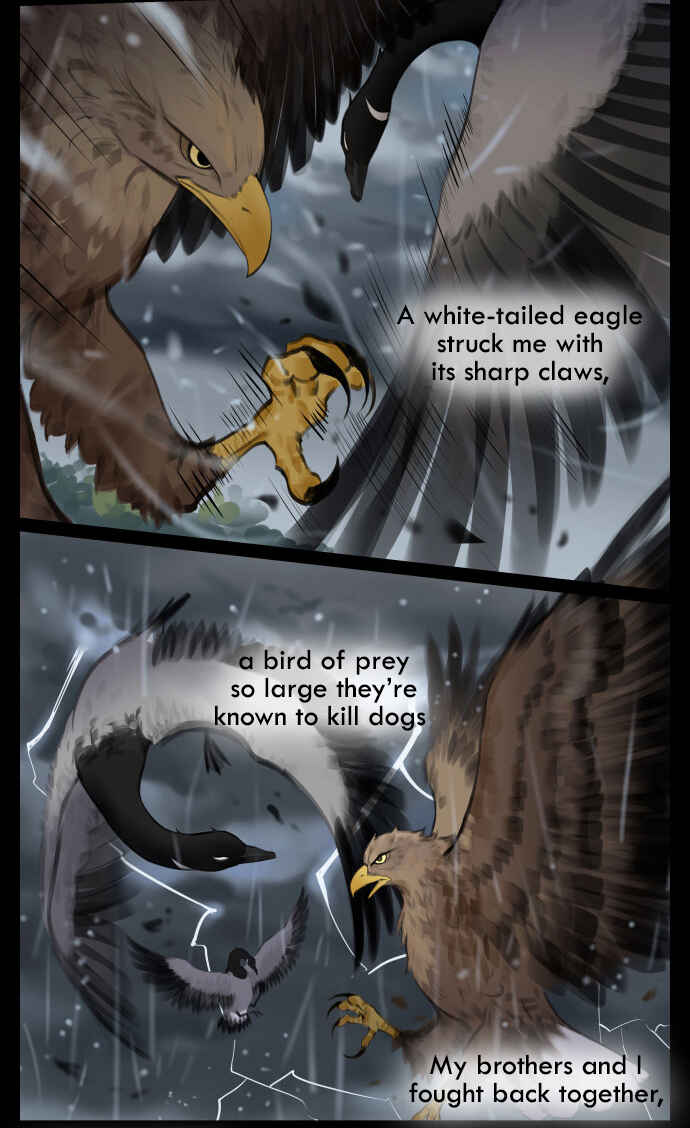 Southern Bird and Northern Bird Chapter 42 - Page 6