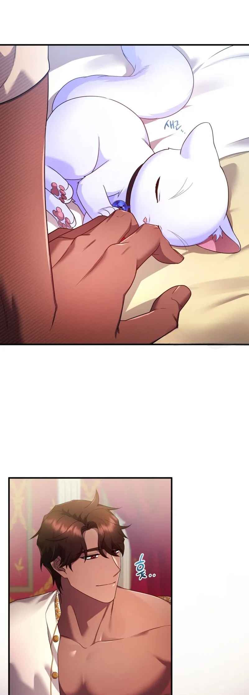 I Became the Sultan's Precious Cat Chapter 7 - Page 11