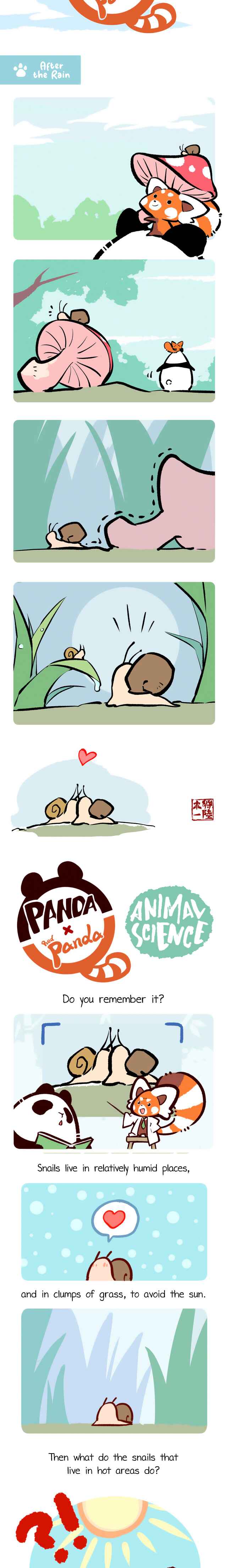 Panda x Red Panda Chapter 4 - Page 2