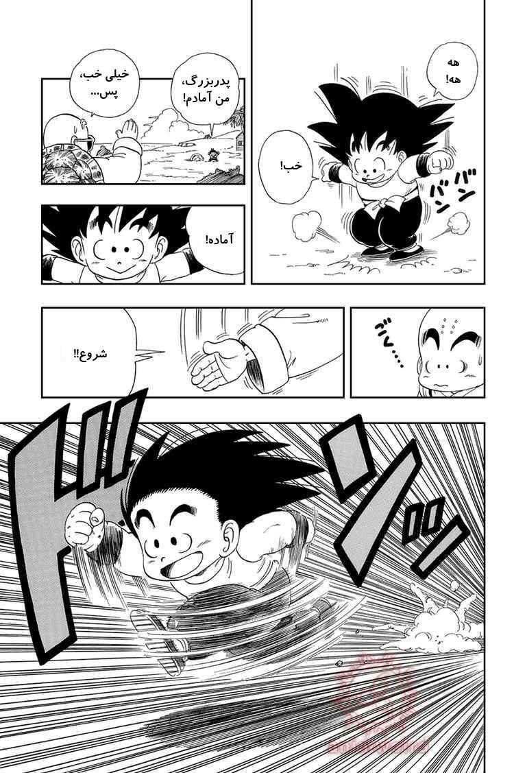 Dragon Ball Chapter 28 - Page 11