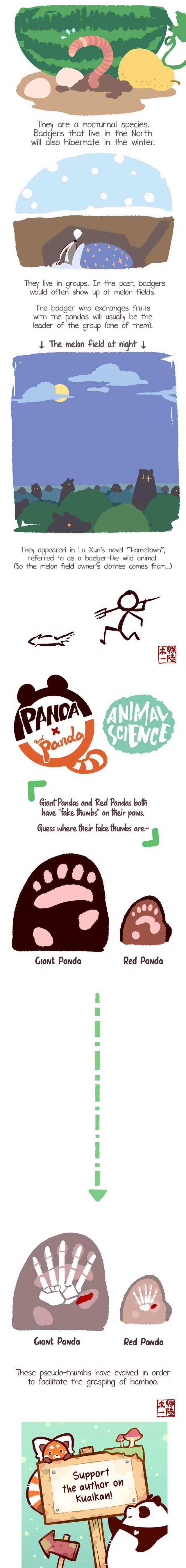 Panda x Red Panda Chapter 2 - Page 3