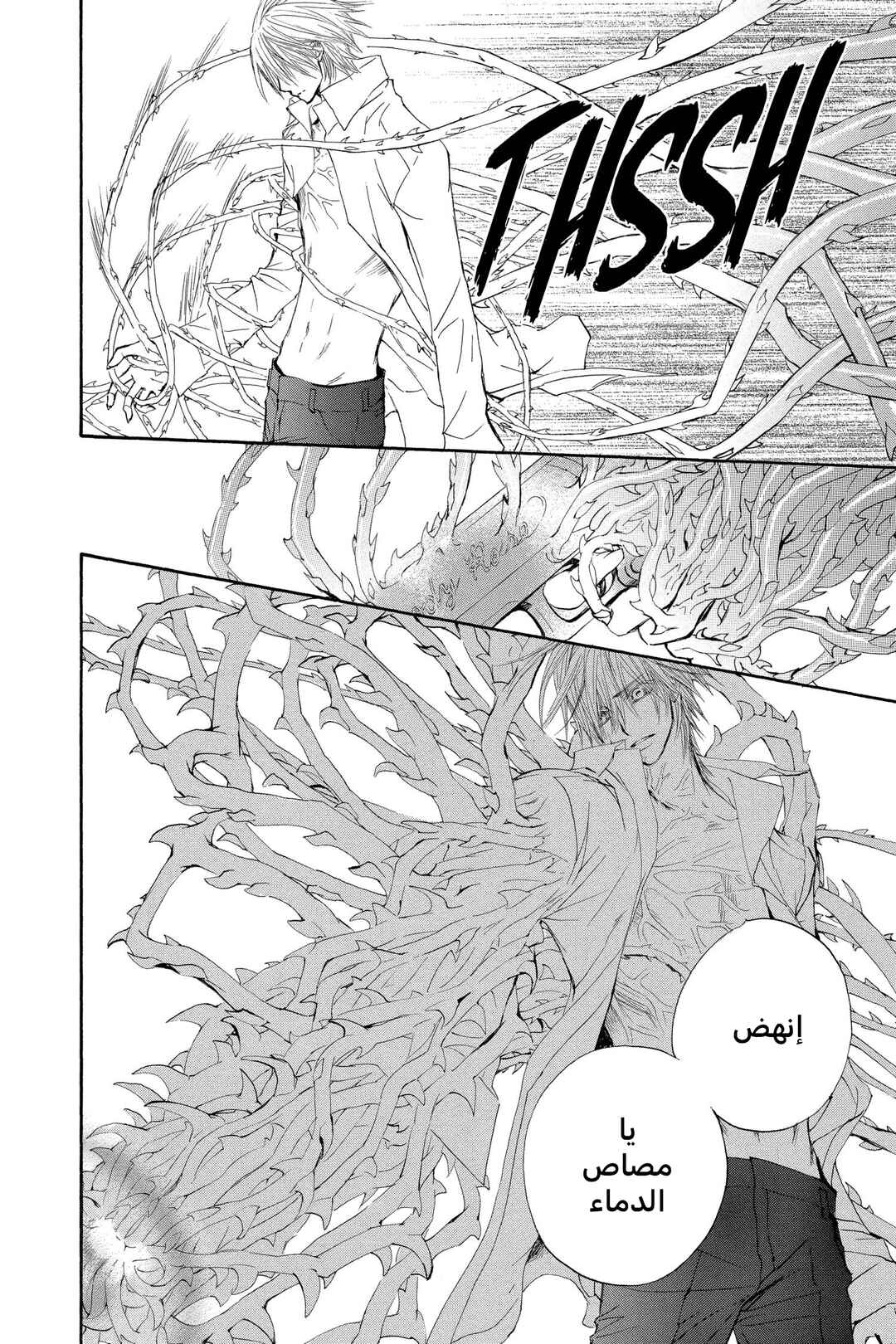 Vampire Knight Chapter 42 - Page 24
