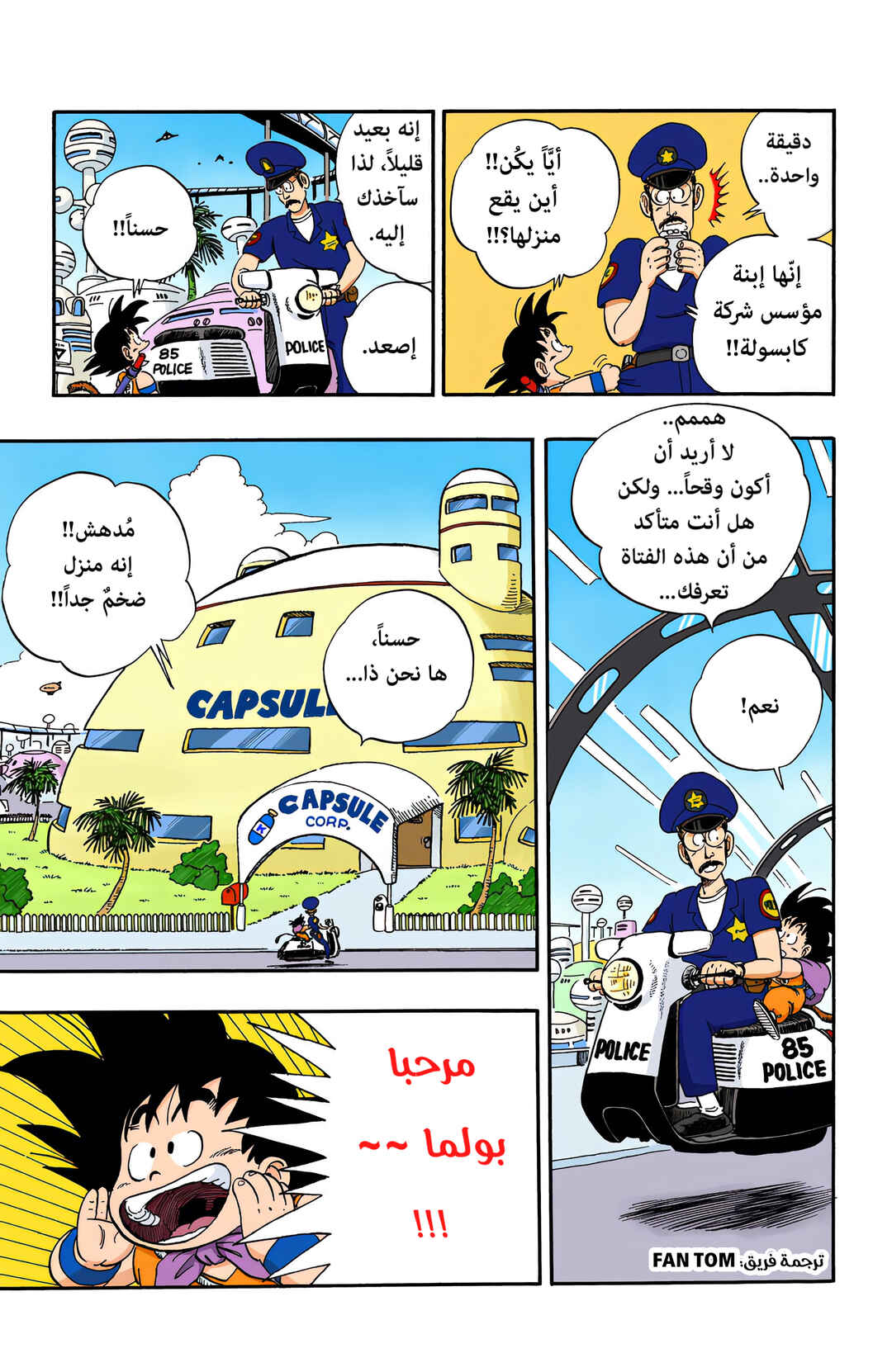 Dragon Ball (Official Colored) Chapter 68 - Page 15
