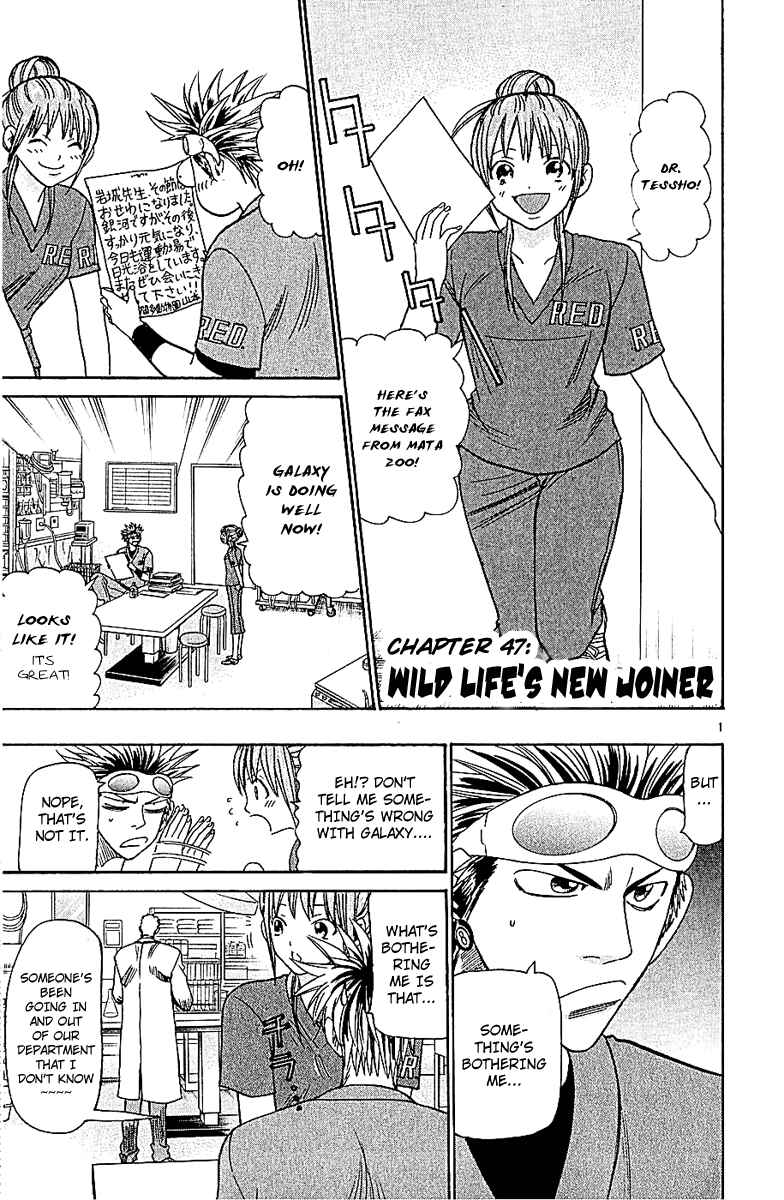 Wild Life Chapter 47 - Page 1
