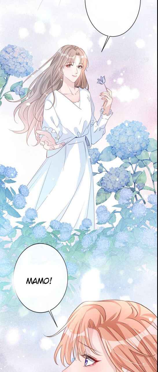 Did You Reject Mr. Lu Today? Chapter 13 - Page 25