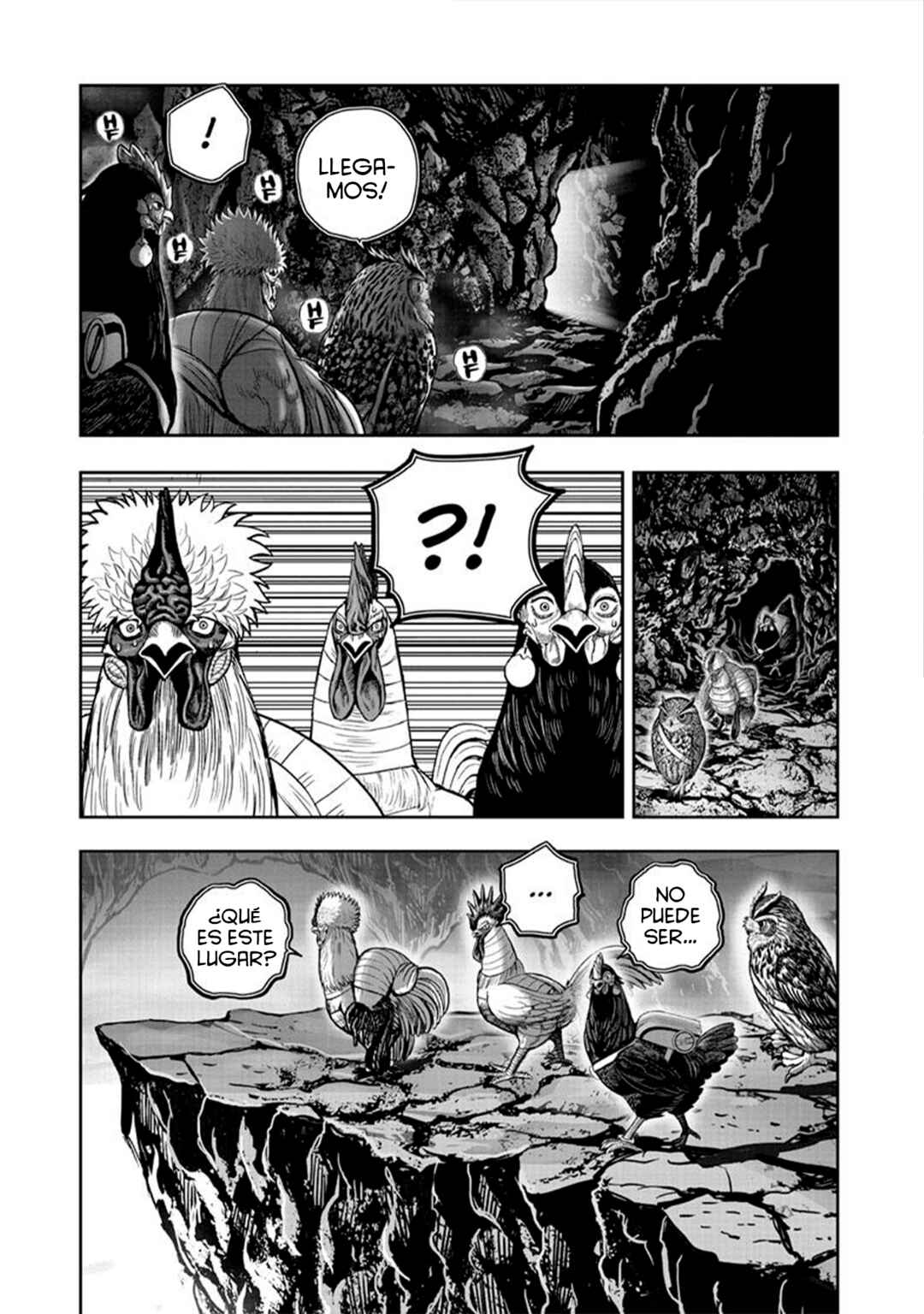 Niwatori Fighter Chapter 43 - Page 14