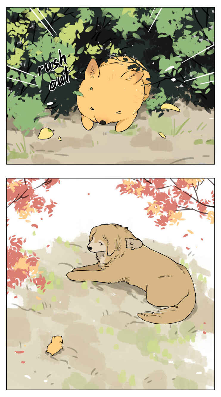 The Wolf That Picked Something Up Chapter 13 - Page 19