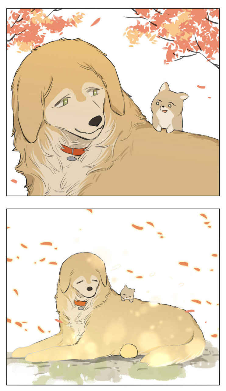 The Wolf That Picked Something Up Chapter 13 - Page 21