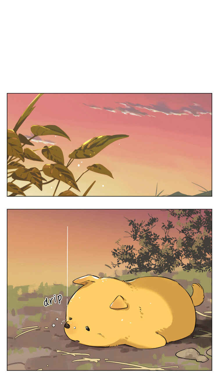 The Wolf That Picked Something Up Chapter 13 - Page 8