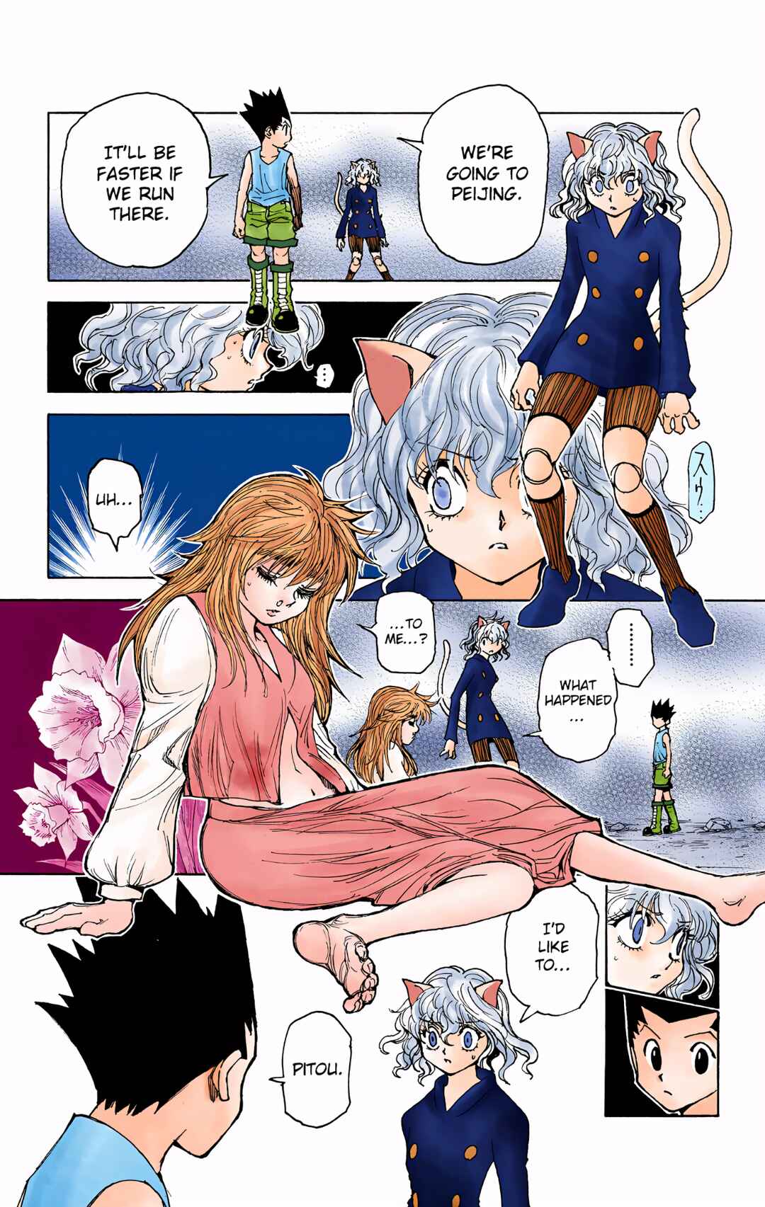 Hunter x Hunter (Official Colored) Chapter 300 - Page 11