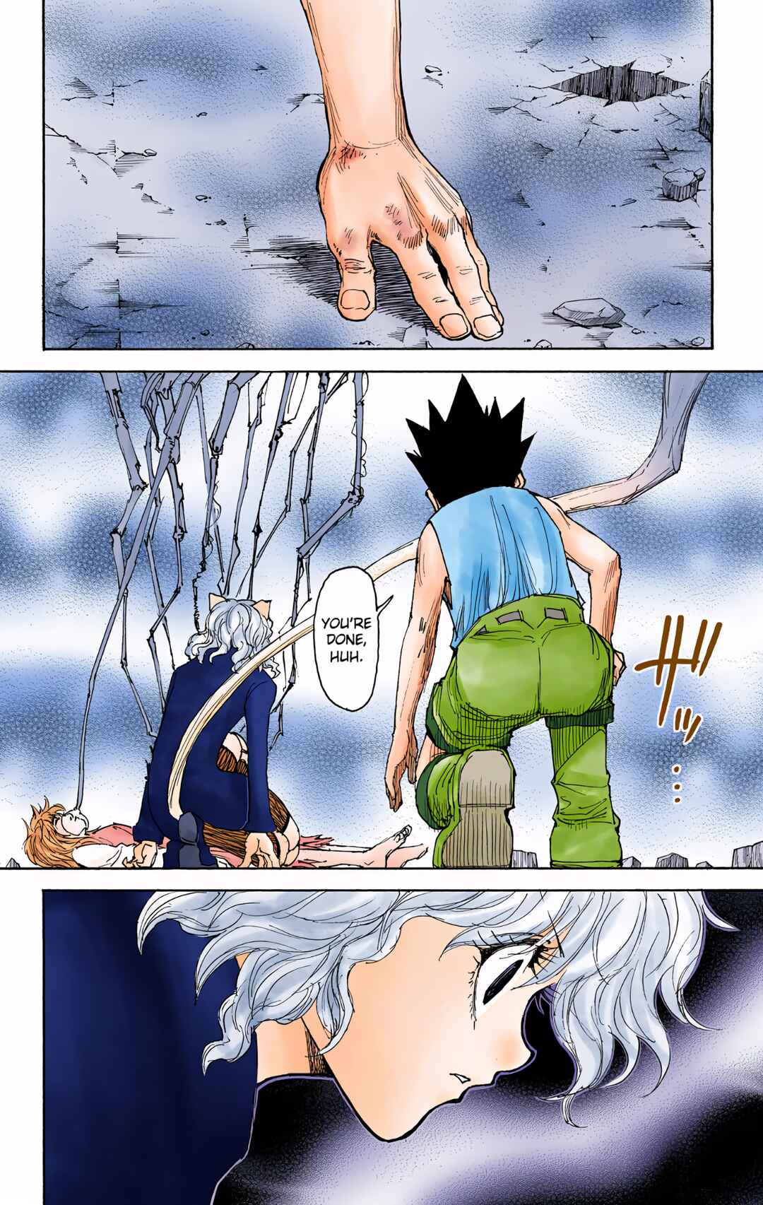 Hunter x Hunter (Official Colored) Chapter 300 - Page 8