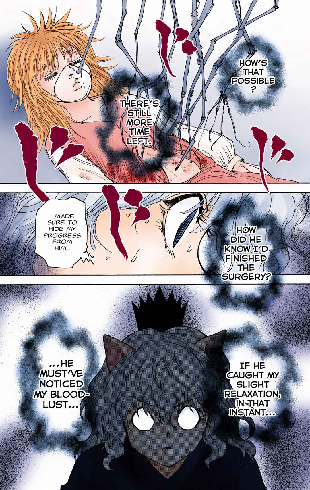 Hunter x Hunter (Official Colored) Chapter 300 - Page 9