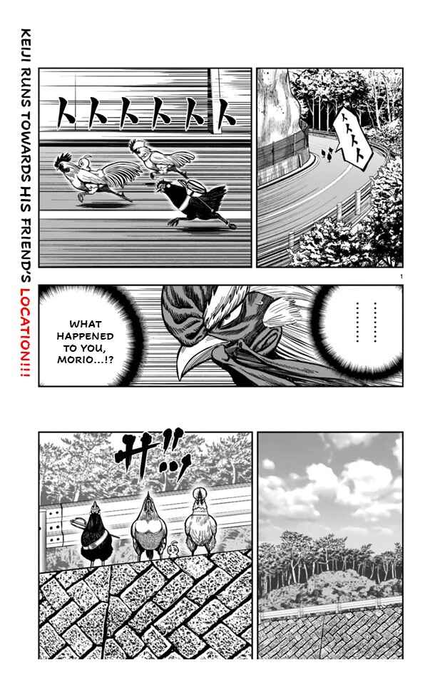 Niwatori Fighter Chapter 21 - Page 1