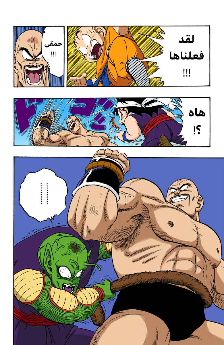 Dragon Ball (Official Colored) Chapter 220 - Page 13