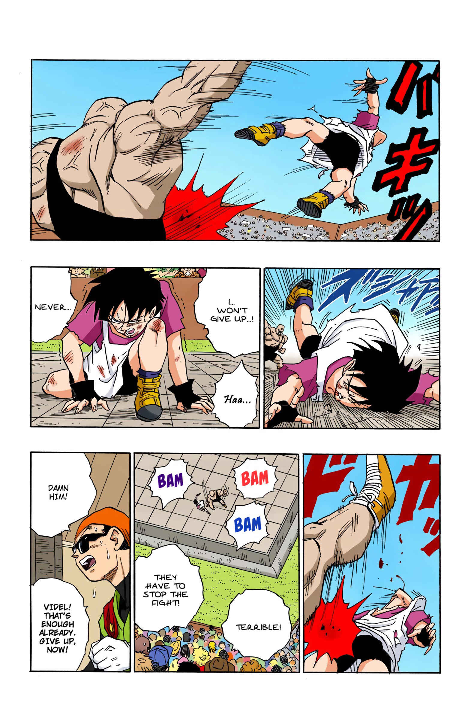 Dragon Ball (Official Colored) Chapter 441 - Page 13