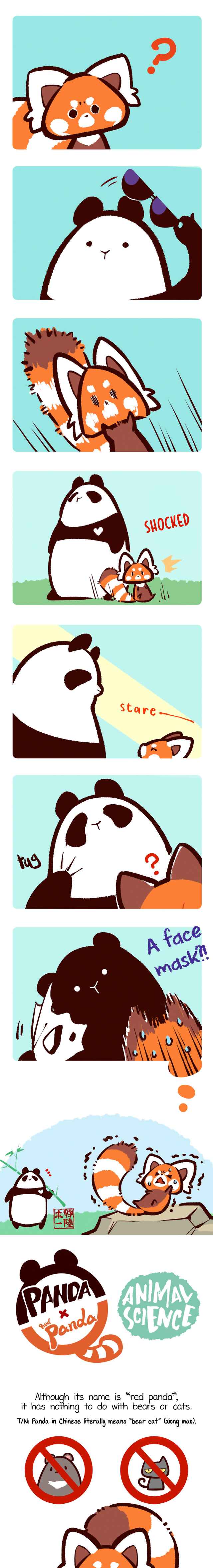 Panda x Red Panda Chapter 3 - Page 2