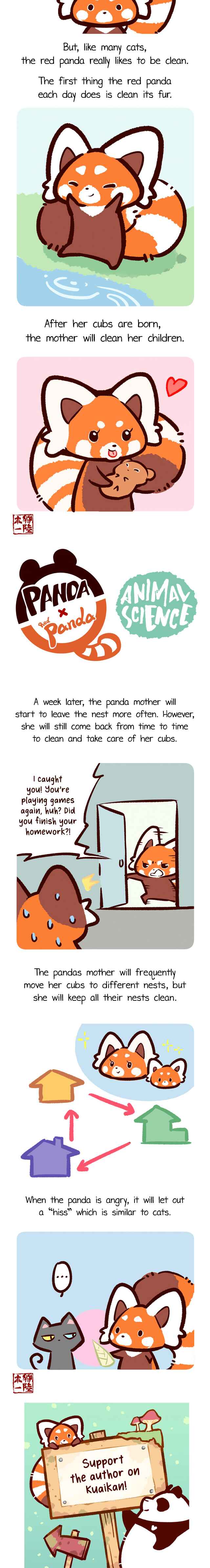 Panda x Red Panda Chapter 3 - Page 3