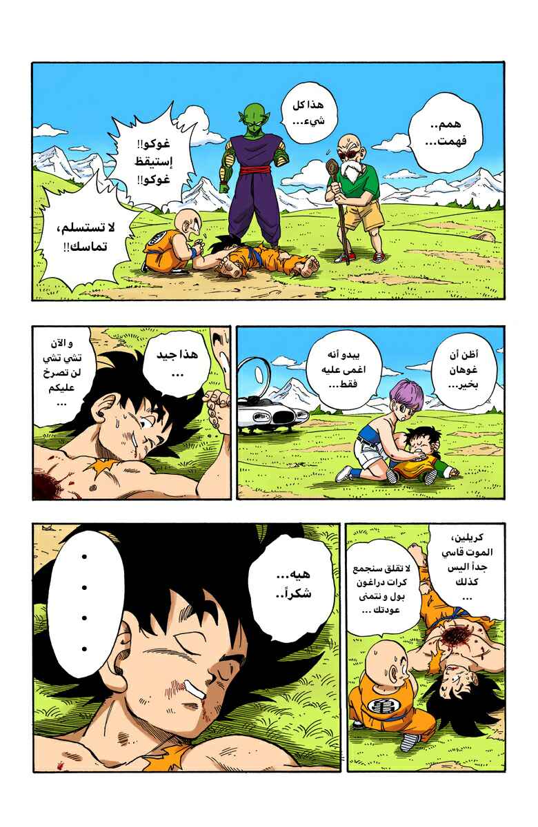 Dragon Ball (Official Colored) Chapter 204 - Page 13
