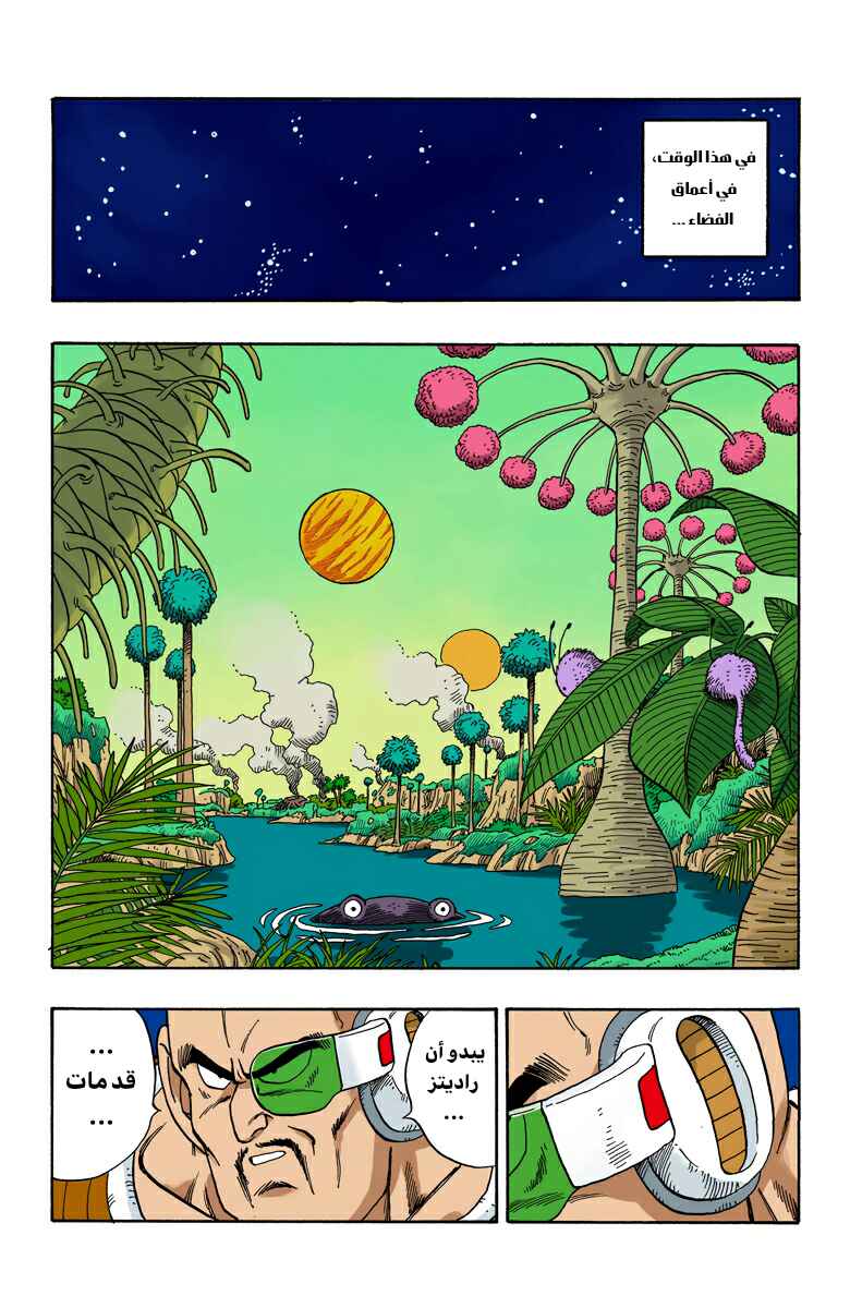 Dragon Ball (Official Colored) Chapter 204 - Page 9