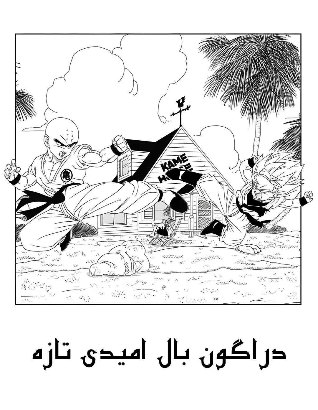Dragon Ball - New Hope Chapter 2 - Page 35