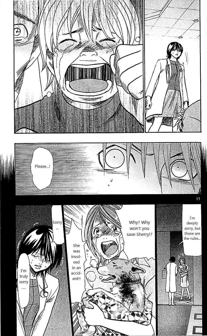 Wild Life Chapter 89 - Page 17