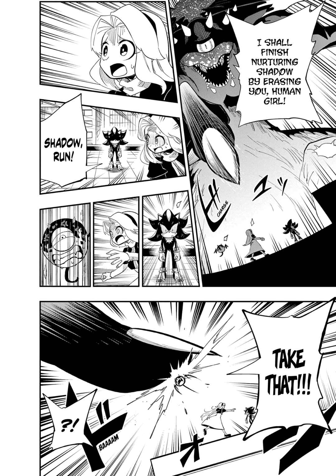 The Jet Black Hedgehog: Shadow the Hedgehog Chapter 5 - Page 18