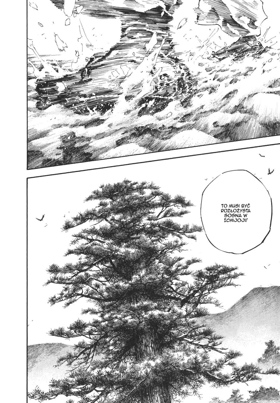 Vagabond Chapter 224 - Page 12